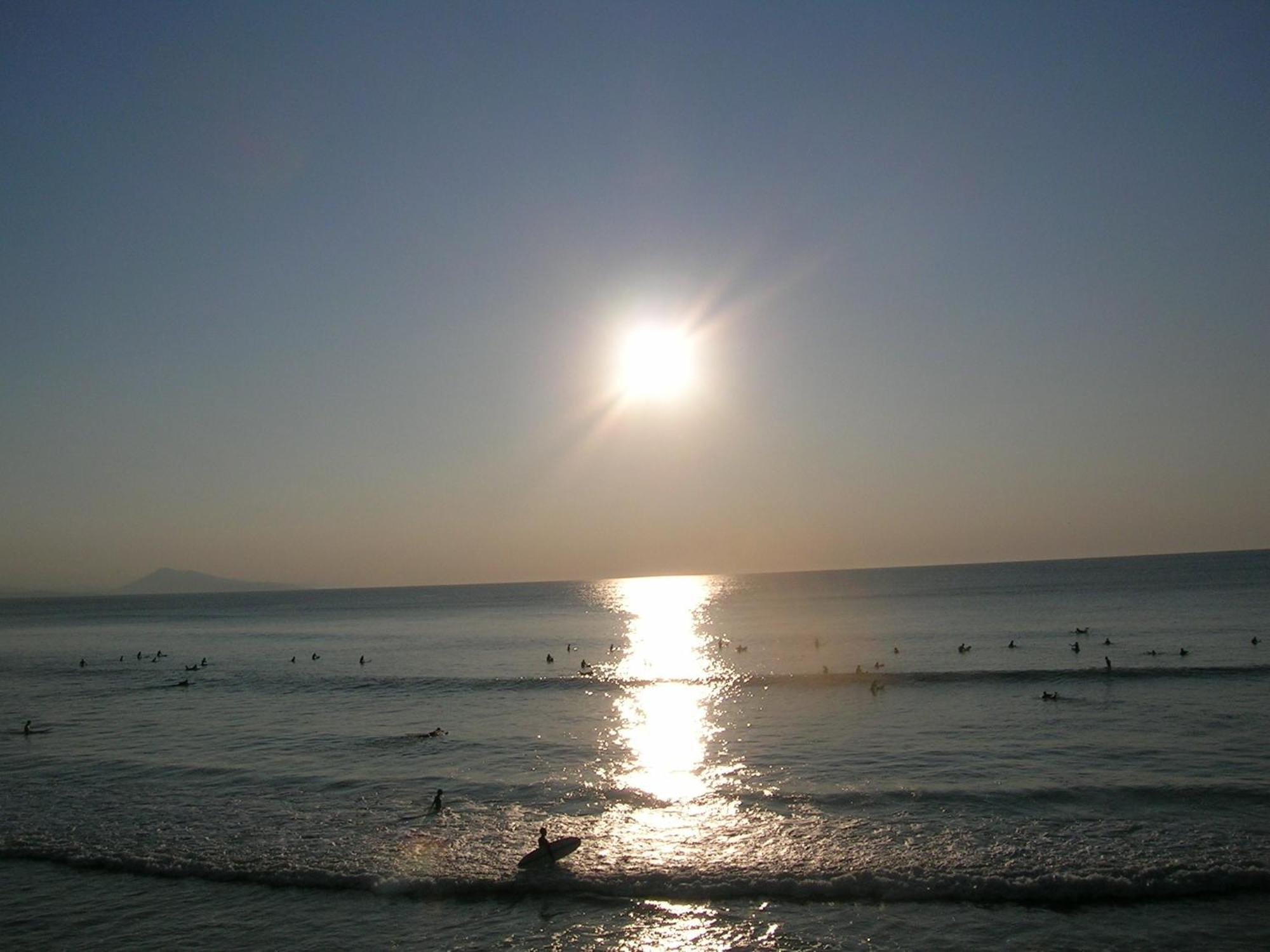 Carlina Biarritz